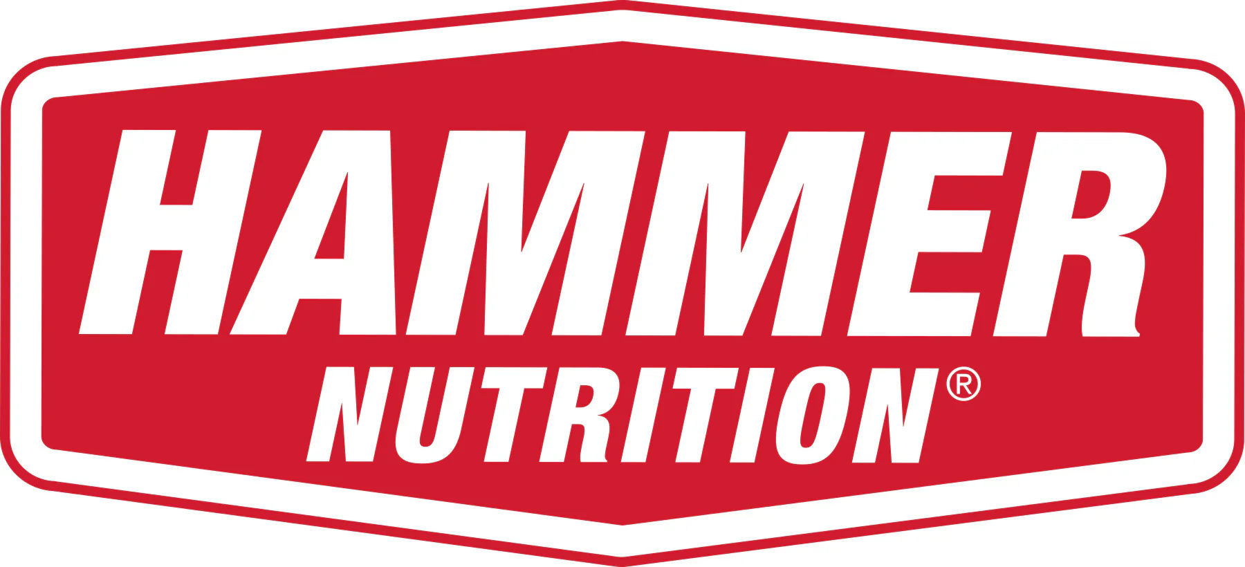 Hammer Badge